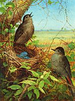 Thrushes' Nest by Fidelia Bridges