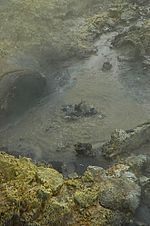 Tikitere Mud Pool n