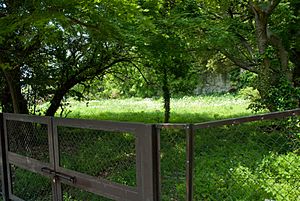 Tosho-ji-Hojo Family temple site