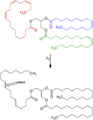 Triglyceride Hydrogenation&Isomerization V.1