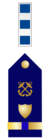 USCG CW4 insignia.svg