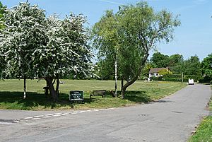 Village Green, Woodcote, London (geograph 1888055)