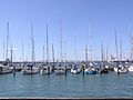 West Gate Bridge View from Williamstown