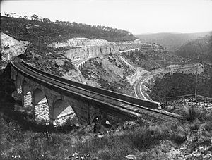 Zig Zag Railway.jpg