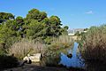 Albufera Parc Natural R19