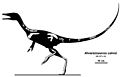 Alvarezsaurus Jaime Headden