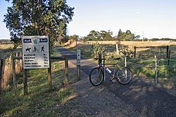 At-Nicholson-Sarsfeild-Rd,-EG-Rail-Trail,-Nicholson,-VIC,-13.09.2008