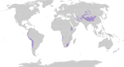 Biome map 10