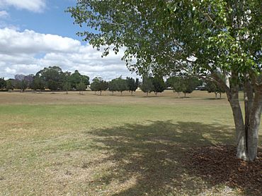 Cameron Park 2, Booval, Queensland.jpg