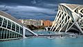 Ciudad de las Artes y las Ciencias - panoramio (15)