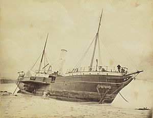 Collaroy beached state library of nsw pic