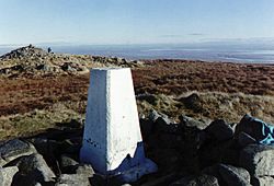 Criffel summit