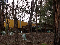 Currawong regenerative planting