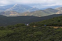 Cuyamacas-Stonewall from Lagunas