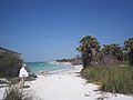 Egmont Key08