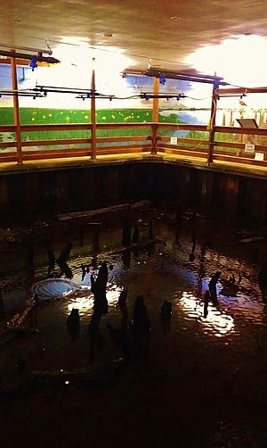 Flag Fen wet room 