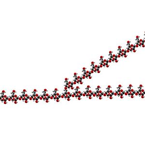 Glycogen spacefilling model