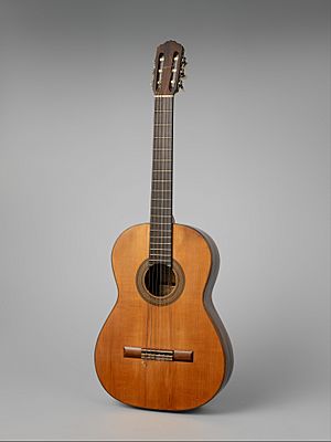 Guitar MET DP337742