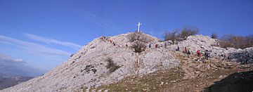 Hernio cumbre.jpg