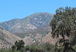 Junipero Serra Peak 2015 2