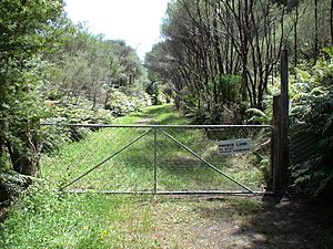 Kaitoke railway station 05