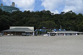 Katsurahama Aquarium 01