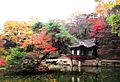 Korea-Seoul-Changdeokgung-31