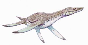 Leptocleidus1DB