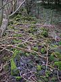 Littlestane march dyke