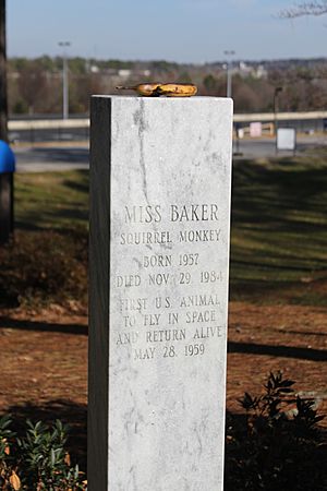 Miss Baker's Gravestone