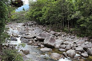 Mossman Gorge 01