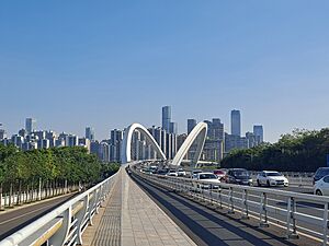 Nanning Bridge