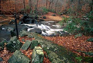 North valley trail pwfp