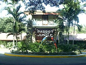 Parrotjungle