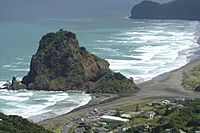 Piha and Lion Rock