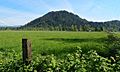 Pinnacle Peak Enumclaw