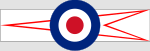 RAF 46 Sqn.svg