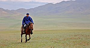 Rider in Mongolia, 2012