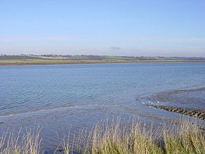 River Crouch (Joan).jpg