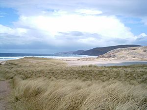 Sandwoodbay