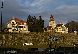 Heerbrugg Castle