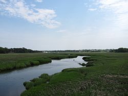 Sesuit Creek from Bridge Street