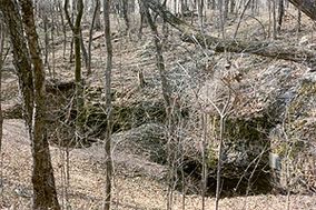 Shelta Cave in Huntsville, Alabama.jpg