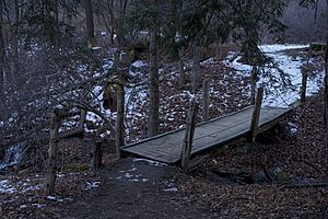 Southbury Audubon Society V