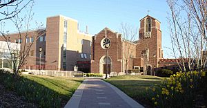 Stfrancis (2).jpg