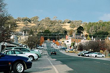 Bank Street Molong.jpg