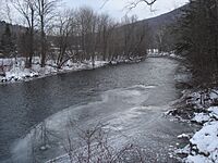 Battenkill in Arlington, Vermont