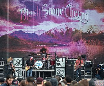 Black Stone Cherry 2014