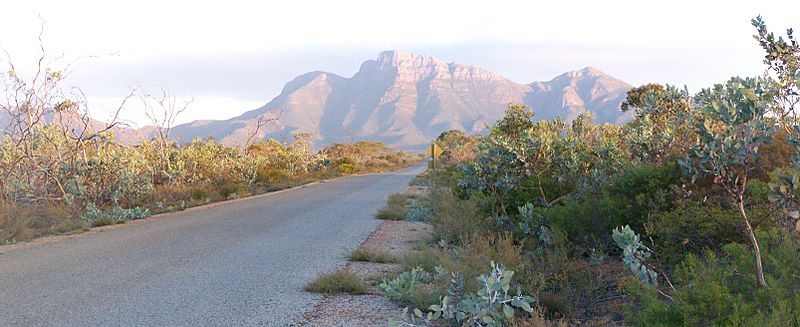 Bluff knoll pana 01 gnangarra