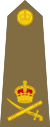 British Army (1920-1953) OF-8.svg